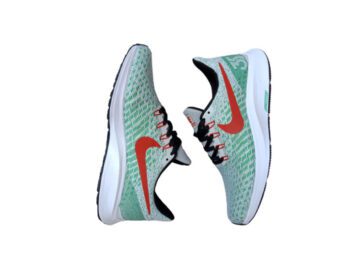 Nike Zoom Pegasus 35 Monte Carlo (2)