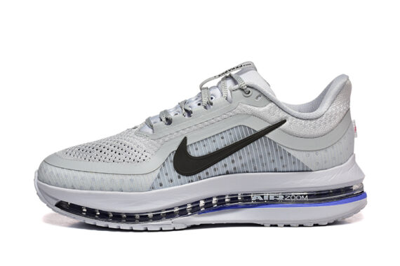 נעלי נייק Nike Pegasus Premium Silver