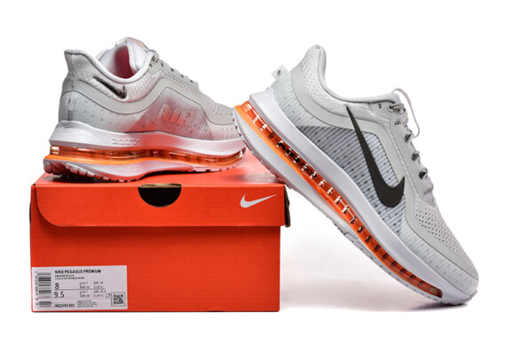 נעלי נייק Nike Pegasus Premium ange Silver